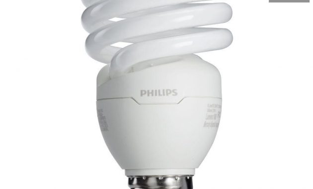 Philips 100 Watt Equivalent T2 Spiral Cfl Light Bulb Soft White intended for dimensions 1000 X 1000