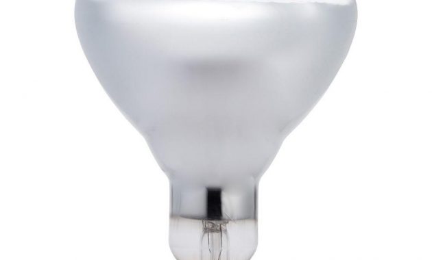 Philips 125 Watt Br40 Incandescent Heat Clear Light Bulb 416750 intended for sizing 1000 X 1000