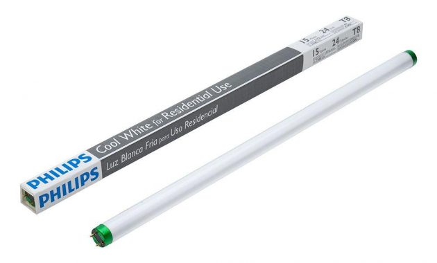 Philips 15 Watt 2 Ft Linear T8 Fluorescent Light Bulb Cool White in measurements 1000 X 1000