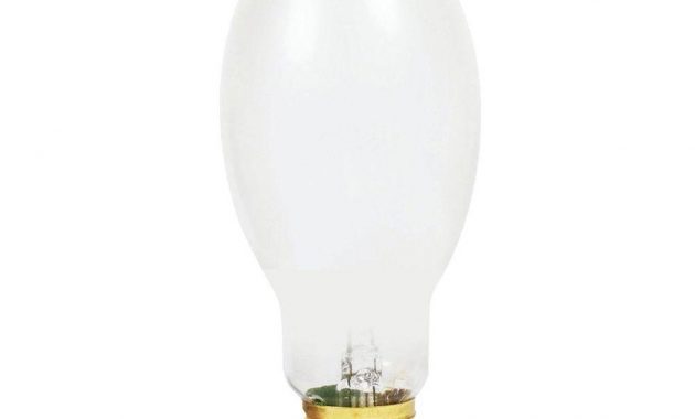 Philips 175 Watt Ed28 Hid Mercury Vapor Light Bulb 12 Pack 248054 in proportions 1000 X 1000