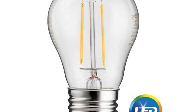 Philips 25 Watt Equivalent A15 Led Light Bulb Vintage Soft White in measurements 1000 X 1000