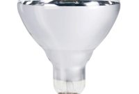 Philips 250 Watt 120 Volt Br40 Incandescent Heat Lamp Light Bulb regarding size 1000 X 1000