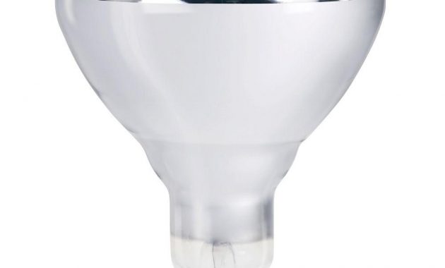 Philips 250 Watt 120 Volt Br40 Incandescent Heat Lamp Light Bulb regarding size 1000 X 1000