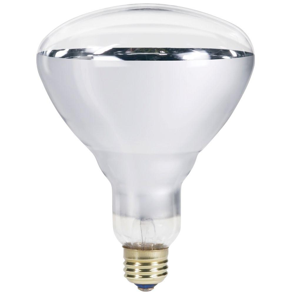 Philips 250 Watt 120 Volt Br40 Incandescent Heat Lamp Light Bulb regarding size 1000 X 1000