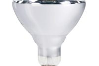 Philips 250 Watt 120 Volt Br40 Incandescent Heat Lamp Light Bulb within dimensions 1000 X 1000