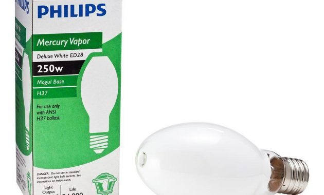 Philips 250 Watt Ed28 Hid Mercury Vapor Deluxe High Intensity within measurements 1000 X 1000