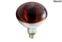 Philips 250 Watt R40 Incandescent Heat Lamp Bulb Red 4 Pack intended for measurements 1000 X 1000