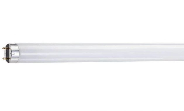 Philips 32 Watt T8 4 Ft Fluorescent Plant And Aquarium Grow Light pertaining to sizing 1000 X 1000