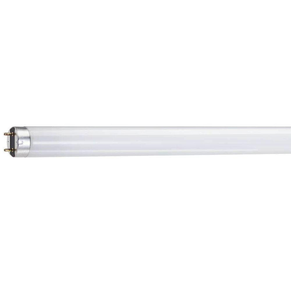 Philips 32 Watt T8 4 Ft Fluorescent Plant And Aquarium Grow Light within proportions 1000 X 1000