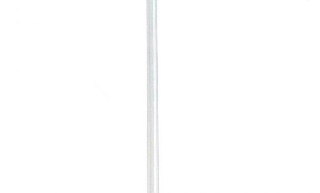 Philips 40 Watt 4 Ft Deluxe Linear T12 Fluorescent Light Bulb intended for proportions 1000 X 1000