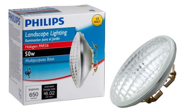 Philips 50 Watt Par36 Halogen 12 Volt Landscape Multi Purpose Base for dimensions 1000 X 1000