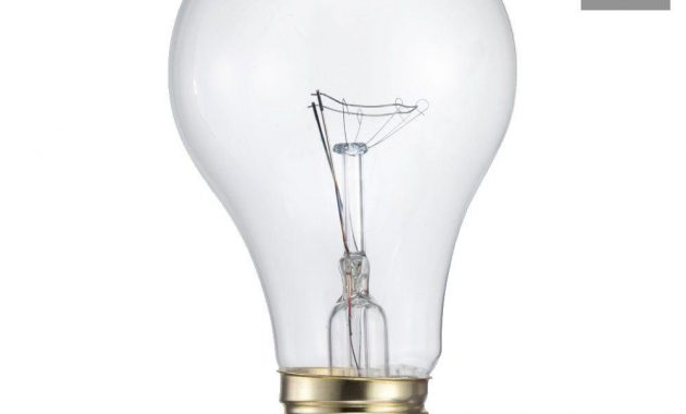 Philips 60 Watt A19 Incandescent Garage Door Light Bulb 2 Pack with dimensions 1000 X 1000