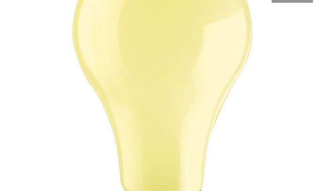 Philips 60 Watt A19 Incandescent Plc Long Life Bug Light Bulb 2 pertaining to dimensions 1000 X 1000