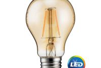 Philips 60 Watt Equivalent A19 Dimmable Led Light Bulb Vintage Soft with size 1000 X 1000