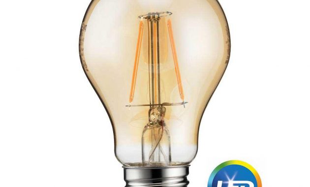 Philips 60 Watt Equivalent A19 Dimmable Led Light Bulb Vintage Soft with size 1000 X 1000