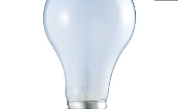 Philips 60 Watt Equivalent A19 Incandescent Light Bulb Natural 24 pertaining to dimensions 1000 X 1000