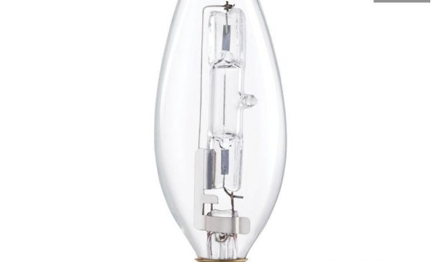 Philips 60 Watt Equivalent Halogen B105 Blunt Tip Candle Light Bulb in dimensions 1000 X 1000