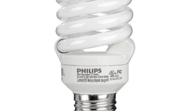 Philips 60 Watt Equivalent T2 Spiral Cfl Light Bulb Daylight 6500k with dimensions 1000 X 1000