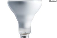 Philips 65 Watt Br30 Incandescent 130 Volt Flood Light Bulb 12 Pack pertaining to dimensions 1000 X 1000