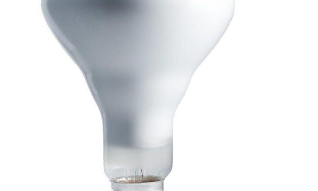 Philips 65 Watt Br30 Incandescent 130 Volt Flood Light Bulb 12 Pack pertaining to dimensions 1000 X 1000