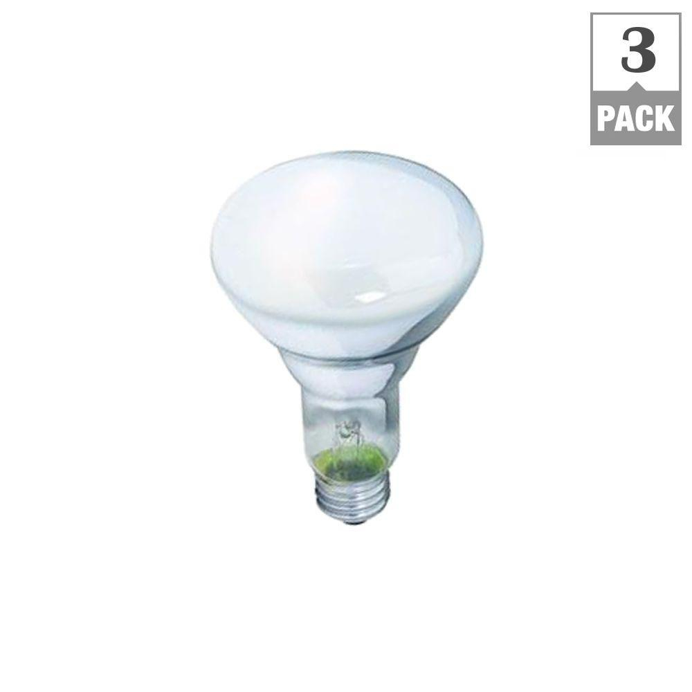 Philips 65 Watt Br30 Incandescent Duramax Dimmable Flood Light Bulb for sizing 1000 X 1000