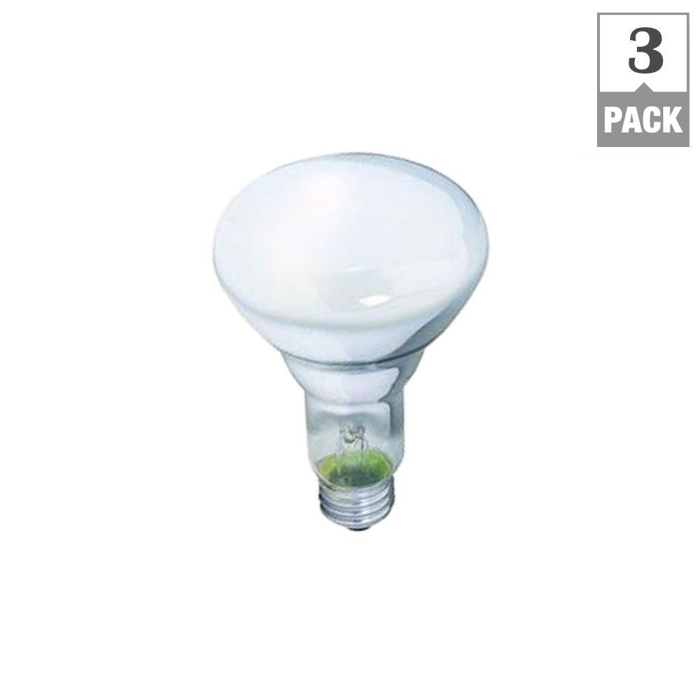 Philips 65 Watt Br30 Incandescent Duramax Dimmable Flood Light Bulb with measurements 1000 X 1000