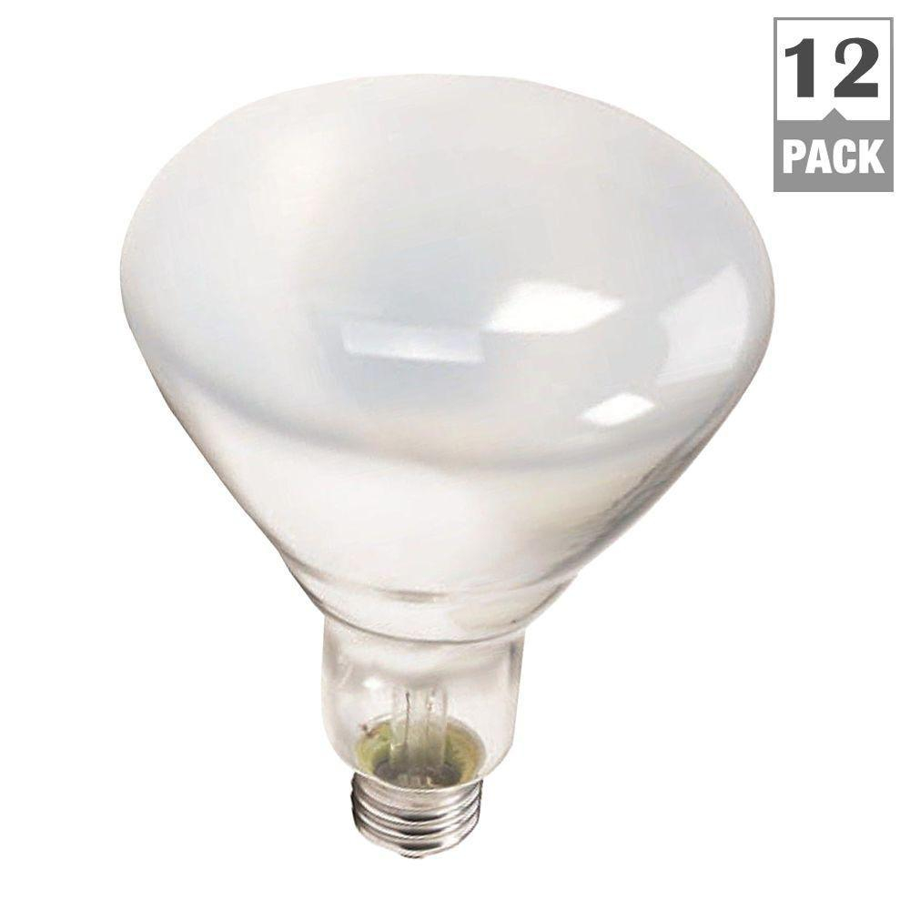 Philips 65 Watt Br40 Incandescent Flood Light Bulb 12 Pack 387795 with regard to dimensions 1000 X 1000