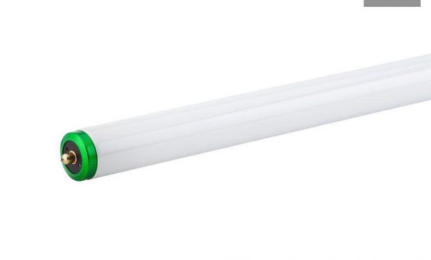 Philips 75 Watt 8 Ft Alto Supreme Linear T12 Fluorescent Light Bulb with regard to proportions 1000 X 1000