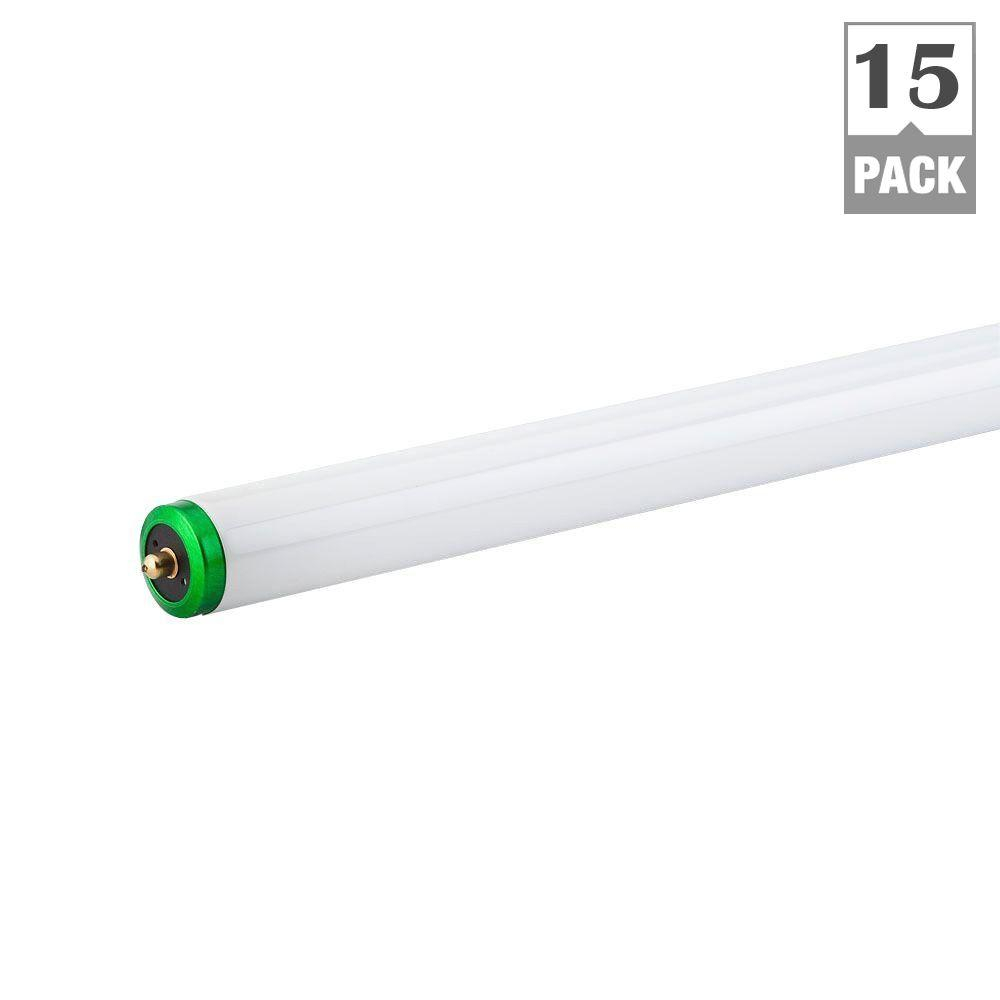 Philips 75 Watt 8 Ft Alto Supreme Linear T12 Fluorescent Light Bulb with regard to proportions 1000 X 1000