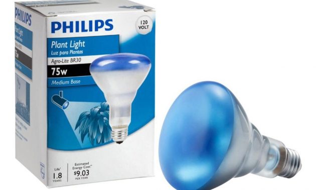 Philips 75 Watt Br30 Agro Plant Grow Light Flood Light Bulb 415281 pertaining to size 1000 X 1000