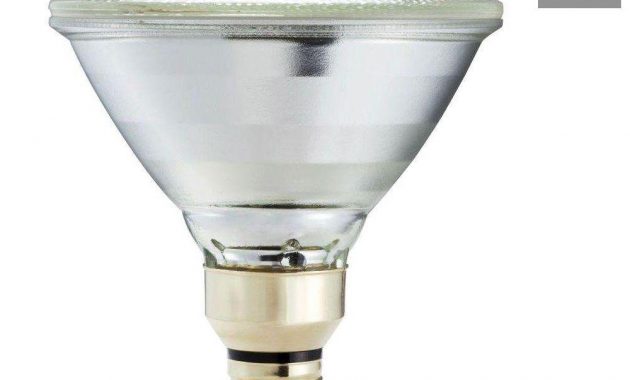 Philips 90 Watt Equivalent Par38 Halogen Indooroutdoor Dimmable pertaining to measurements 1000 X 1000