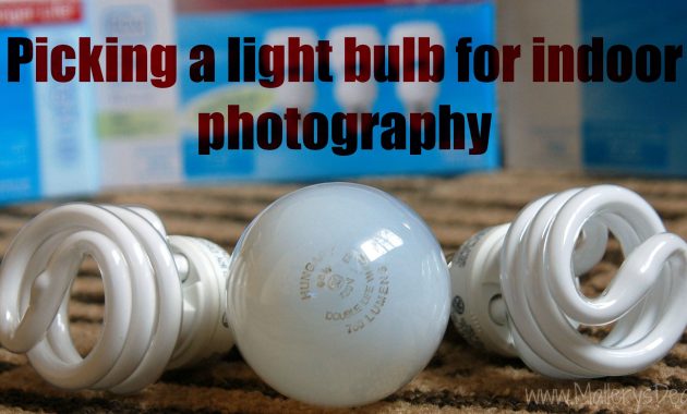 Picking A Light Bulb For Indoor Photography Gelighting intended for dimensions 3008 X 1523