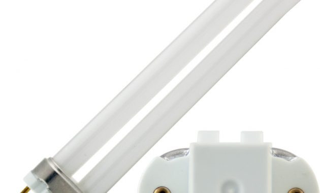 Pl13 13w Cfl Twin 2700k 71 Mol Topbulb for sizing 1000 X 1000