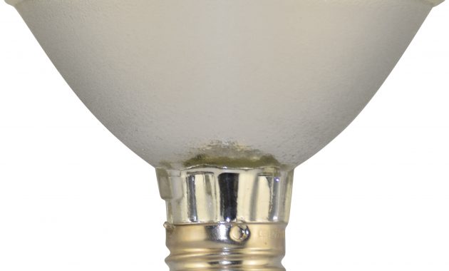 Plusrite 3116 Bulb 75 Watts 120 Volts 1599 intended for proportions 3459 X 3240