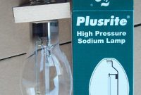 Plusrite 70w 70 Watt E39 High Pressure Sodium Lamp Clear Light Bulb regarding sizing 1066 X 1600