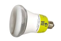 R30 Energy Efficient Light Bulb 195 Watts Esl R30 Destination inside proportions 1000 X 1000