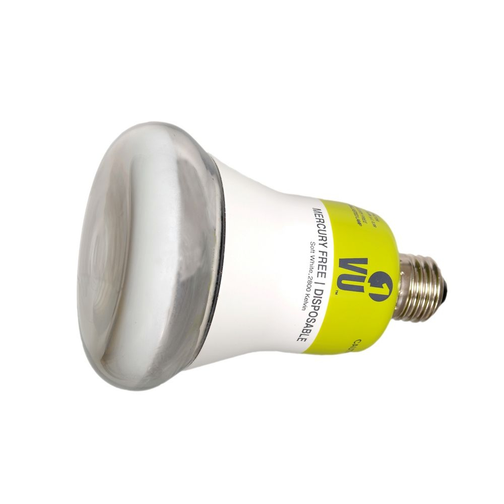 R30 Energy Efficient Light Bulb 195 Watts Esl R30 Destination inside proportions 1000 X 1000