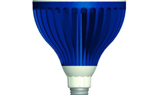 R40 Pool Light Bulb Led Light Bulb in measurements 1000 X 1000