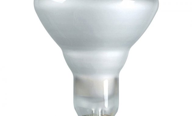 Recessed Lighting Cool Recessed Lighting Bulb Types Recessed Light with regard to proportions 900 X 900