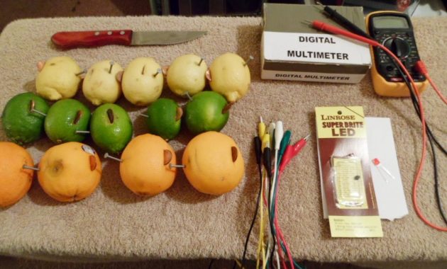 Science Fair Project Citrus Fruit Lemon Lime Orange Light Bulb in measurements 1024 X 768