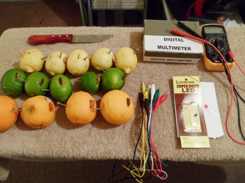 Science Fair Project Citrus Fruit Lemon Lime Orange Light Bulb in measurements 1024 X 768
