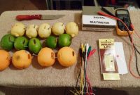 Science Fair Project Citrus Fruit Lemon Lime Orange Light Bulb within proportions 1024 X 768