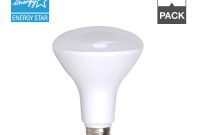 Simply Conserve 100w Equivalent R40 Dimmable Led Light Bulb 12 Pack with regard to sizing 1000 X 1000