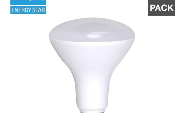 Simply Conserve 100w Equivalent R40 Dimmable Led Light Bulb 12 Pack with regard to sizing 1000 X 1000