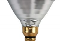 Special Outdoor Flood Light Bulbs Indoor 046677265830 Philips with regard to size 1250 X 1357