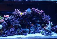 Stacking Live Rock And Salt Water Aquarium Last Edited Mattdean regarding measurements 1500 X 547