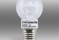 Standard Base 12 Volt Led Light Bulbs Led Lights Ideas throughout measurements 1000 X 1000