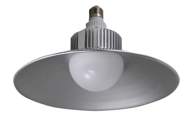 Stonepoint Led Lighting 150 Watt Equivalent G25 2500 Lumen Led throughout size 1000 X 1000