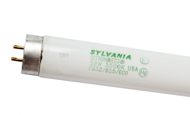 Sylvania 21736 F96t8741eco T8 Fluorescent Lamp Bulbsdepot regarding proportions 911 X 911