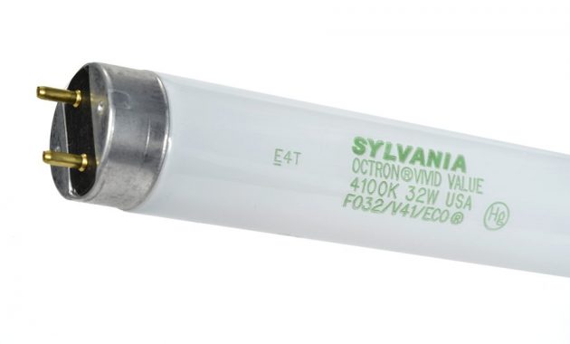 Sylvania 32 Watt Medium Bi Pin Base 48 In T8 Cool White Linear pertaining to sizing 900 X 900